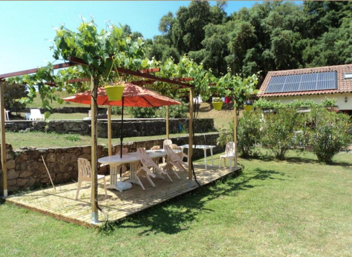 Gites Carbuccia En Corse Avec Piscine Chauffee 外观 照片