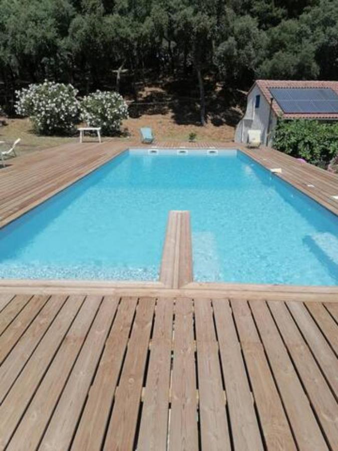 Gites Carbuccia En Corse Avec Piscine Chauffee 外观 照片