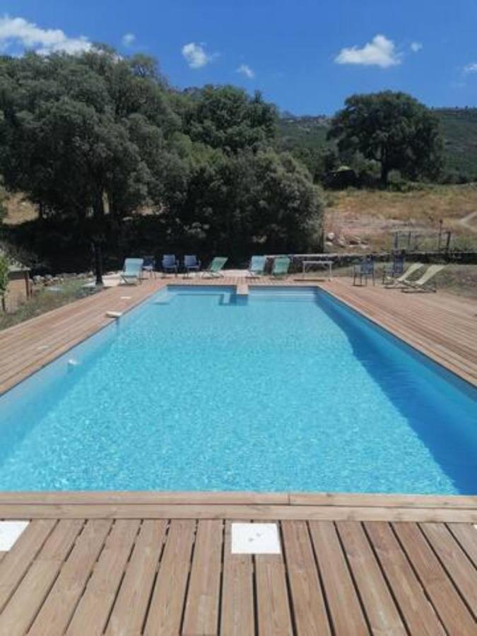 Gites Carbuccia En Corse Avec Piscine Chauffee 外观 照片